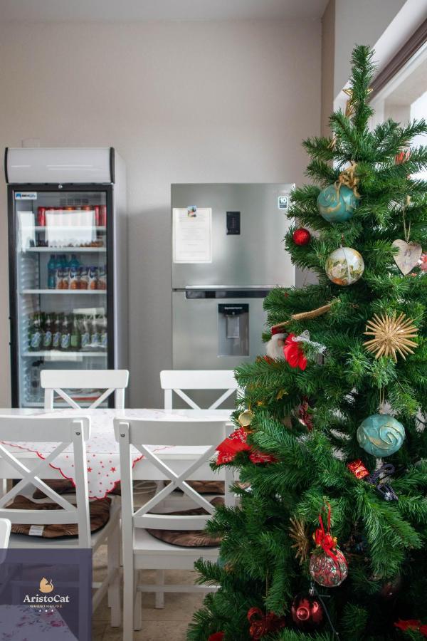 Aristocat Hotels Rasnov Dış mekan fotoğraf
