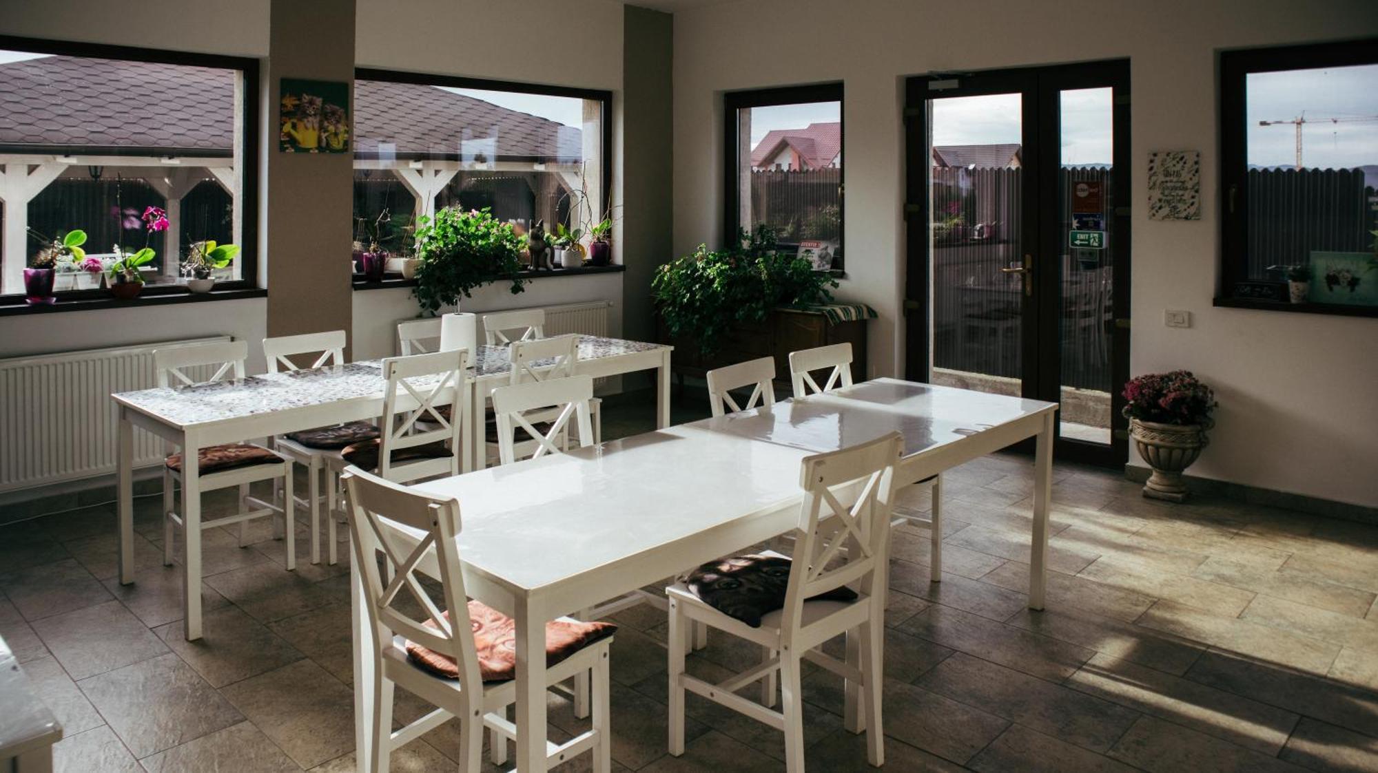 Aristocat Hotels Rasnov Dış mekan fotoğraf