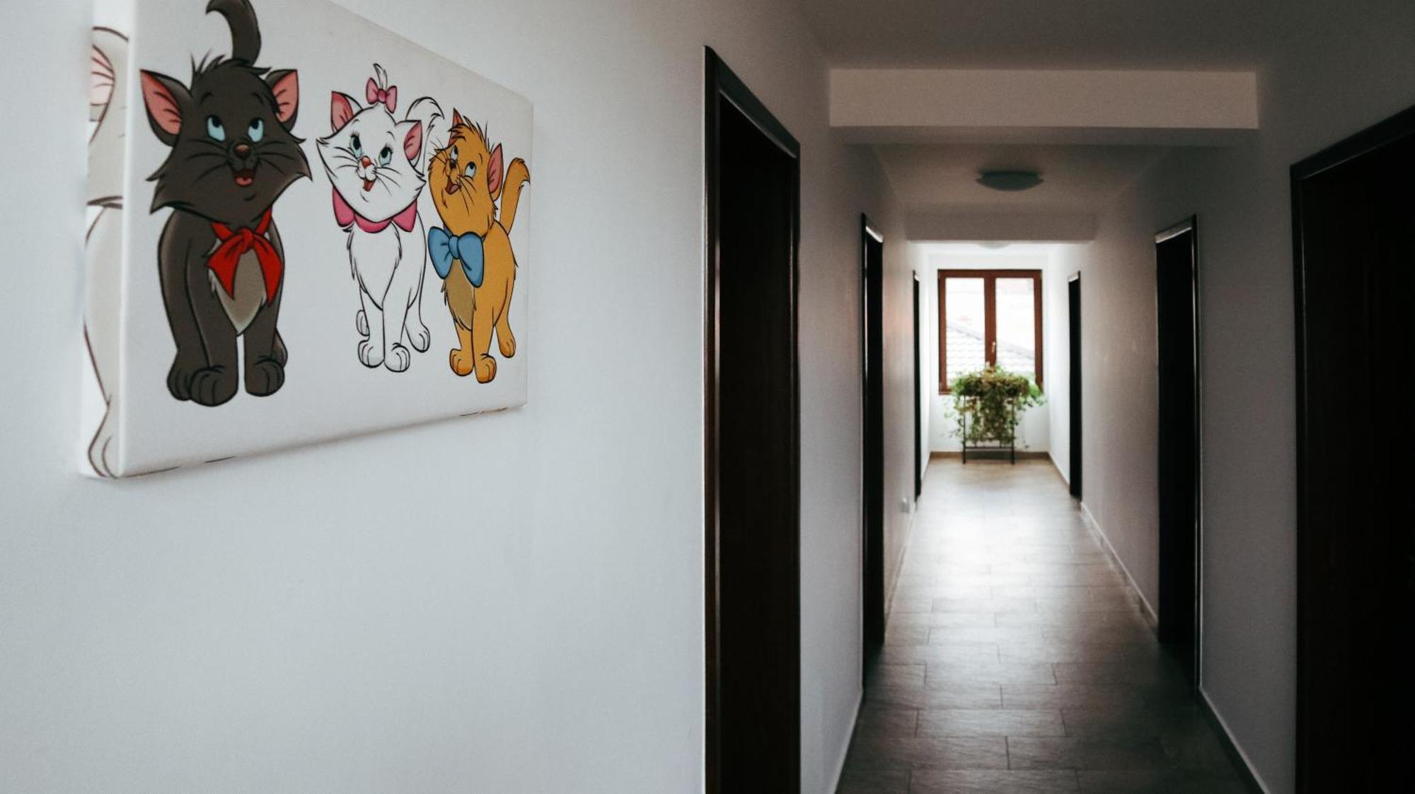 Aristocat Hotels Rasnov Dış mekan fotoğraf