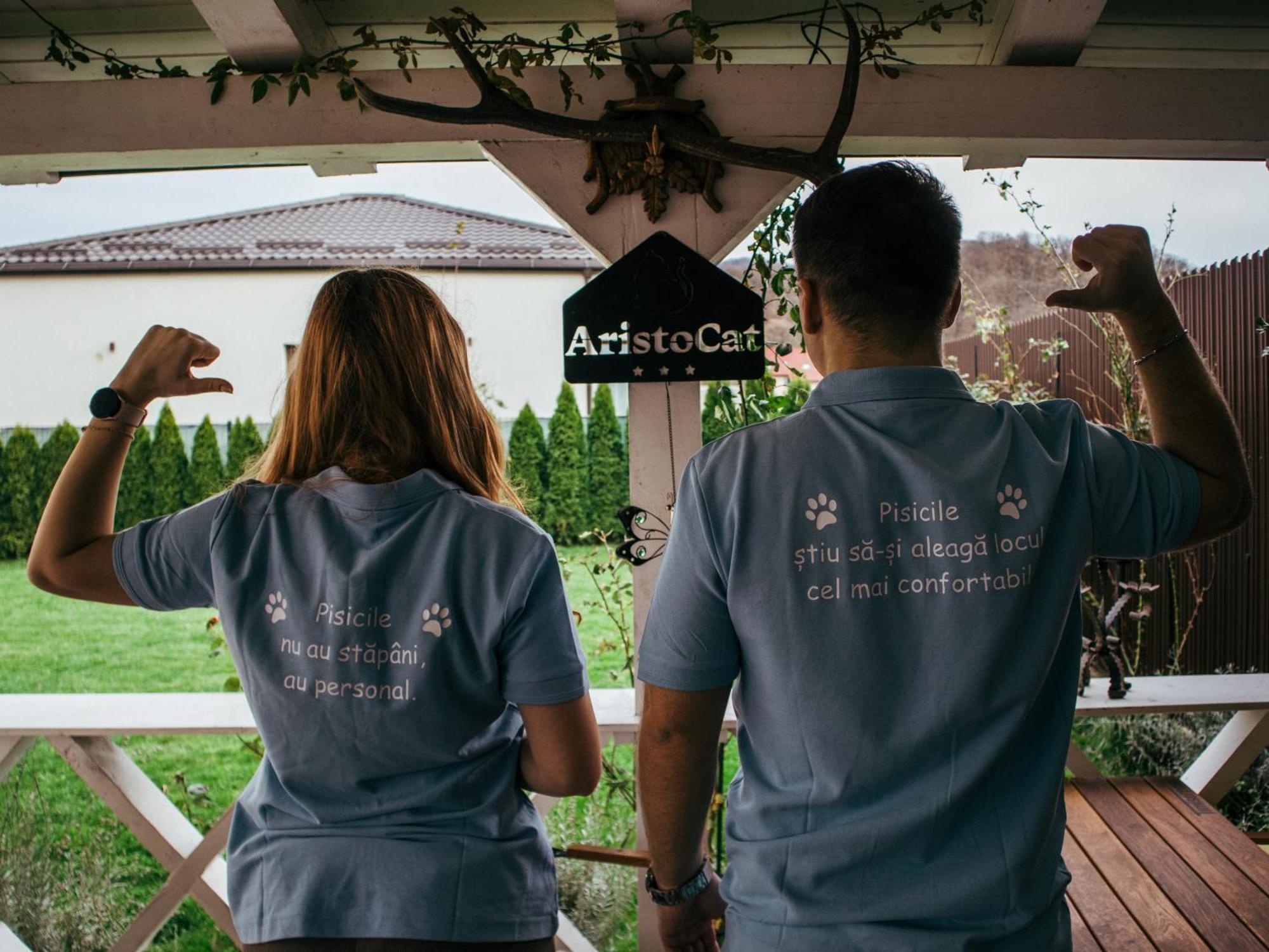 Aristocat Hotels Rasnov Dış mekan fotoğraf